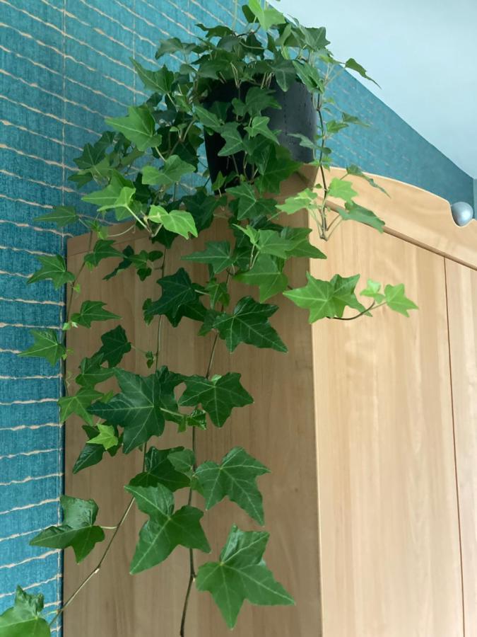 Crea Els Appartement Westerlo Buitenkant foto